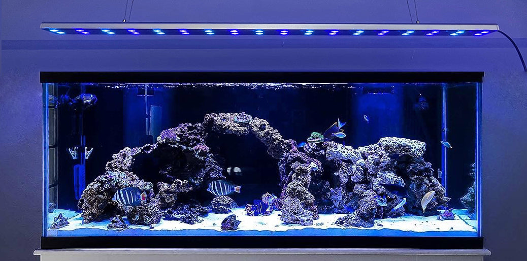 Texleds  LED light fixture SR-1